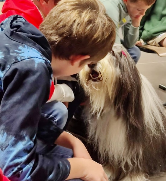 Kind veilig leren omgaan met hond in het onderwijs.