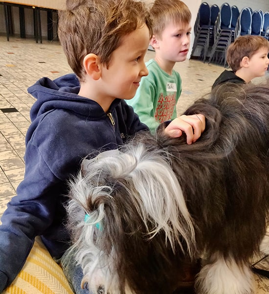 Hond en kind advies en bezoek op school.