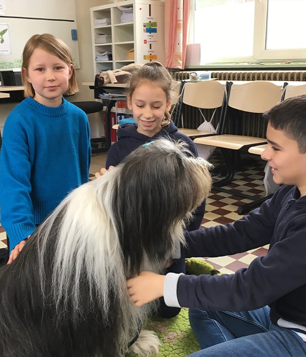 Kinderen leren omgaan met honden ter preventie van bijtwonden.