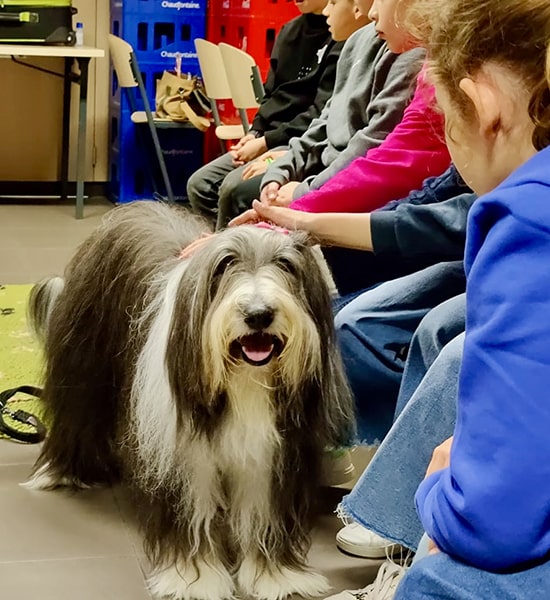 Voorlichting op school in Limburg hoe omgaan met honden door Xanuul